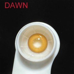 B-DAWN GOLD COLOR CONTACT LENS (2PCS/PAIR)
